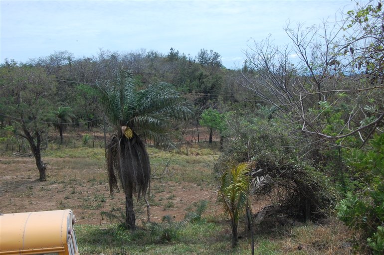 WCI e NATMED in Costa Rica